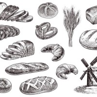 vector drawing of bakery products - food stock illustrations