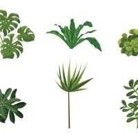 vector set of different houseplants in flower pots on white background - garden decoration stock illustrations