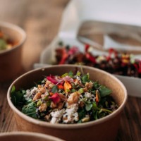 vegan takeaway - junk food stock pictures, royalty-free photos & images
