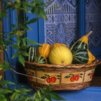 vegetable cart in front of a blue window - garden decoration stock pictures, royalty-free photos & images