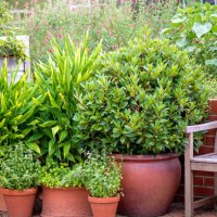 vegetable garden with wooden bench and terracotta plant pots with herbs - garden decoration stock pictures, royalty-free photos & images