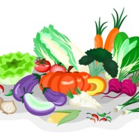vegetable illustration on the white background shows the freshness of many types of vegetables for creating an illustration or poster of food. - garden decoration stock pictures, royalty-free photos & images