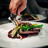 venison - food stock pictures, royalty-free photos & images