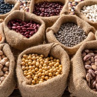 verschiedene hülsenfrüchte in sackleinensäcken in einer reihe als vollbildhintergrund - food stock-fotos und bilder