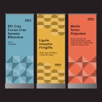 vertical banner set design template with abstract geometric graphics —brody system, ipsumco series - fashion stock illustrations