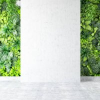 vertical garden with empty wall - garden decoration stock pictures, royalty-free photos & images