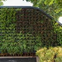 vertical greening of outdoor walls - garden decoration stock pictures, royalty-free photos & images