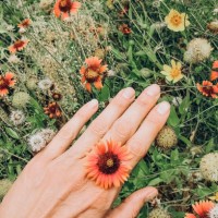 vibrant summer wildflowers in bloom with unique nature-inspired hand adornment - garden decoration stock pictures, royalty-free photos & images