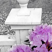 victorian garden - garden decoration stock-fotos und bilder