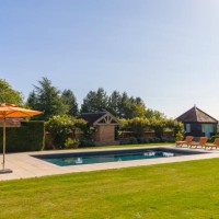 view of a luxury swimming pool in the uk - garden decoration photos et images de collection