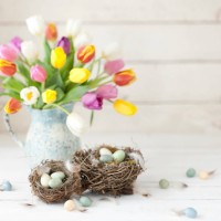 vintage easter tulips and easter eggs on an old white wood background - home decoration stock pictures, royalty-free photos & images