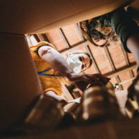 volunteers are preparing a donation box with nonperishable food - view from inside the cardboard box - food stock pictures, royalty-free photos & images