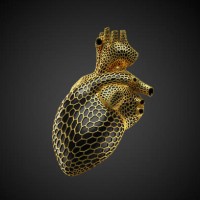 voronoi herz gold -quer - fashion stock-fotos und bilder