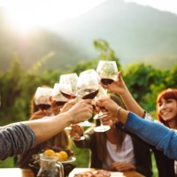vrienden doen een wijnproeverij allemaal samen - food stockfoto's en -beelden