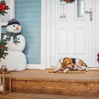 waiting for santa - garden decoration stock pictures, royalty-free photos & images