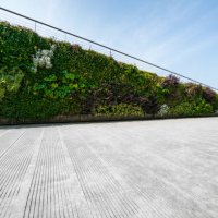 wall decorated with the plants - garden decoration stock pictures, royalty-free photos & images