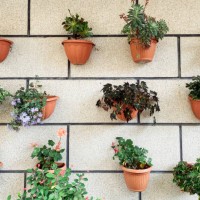 wall garden with potted plants - garden decoration stock pictures, royalty-free photos & images