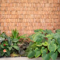 wall with a brick wall and a lot of plants. botanical brickwork - plants adorning urban wall - garden decoration stock pictures, royalty-free photos & images