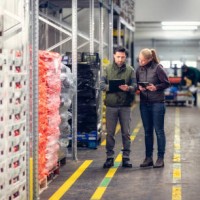 warehouse of vegetables - food stock pictures, royalty-free photos & images