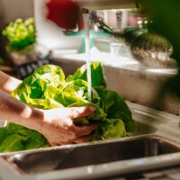 washing lettuce in kitchen - food stock pictures, royalty-free photos & images
