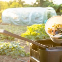 waste management in a vegetable garden - food stock pictures, royalty-free photos & images