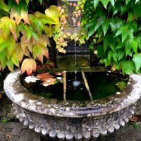 water fountain and parthenocissus tricuspidata leaf in red color on the wall - garden decoration stock pictures, royalty-free photos & images