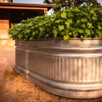 water lily in huge aluminum tub - garden decoration stock pictures, royalty-free photos & images