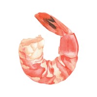 watercolor cooked shrimp - food stock illustrations