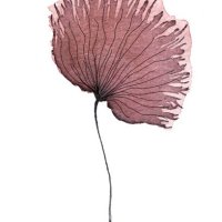watercolor flower, dandelion - garden decoration stock pictures, royalty-free photos & images