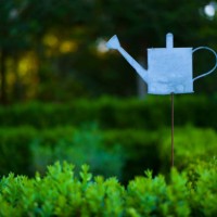 watering can, decoration, sign or symbol in a herbal and vegetable garden - garden decoration stock pictures, royalty-free photos & images