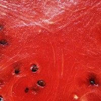 watermelon fruit close-up - food stock pictures, royalty-free photos & images