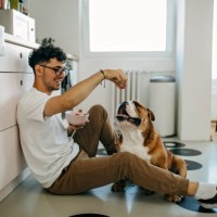 we eat together - food stock pictures, royalty-free photos & images