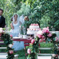 wedding party in garden - home decoration stock pictures, royalty-free photos & images
