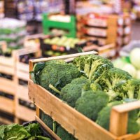 wegetables in a warehouse - food stock pictures, royalty-free photos & images