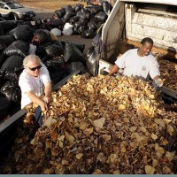 Wes Wilson, left, gets help from Public Works employees Dana Jackson, middle and Anthony Armijo, right as he brings in a truck bed full of leaves...