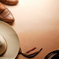 western theme - fashion stock pictures, royalty-free photos & images
