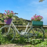 white bicycle decorated with flowers in bloom in rural setting around florence, tuscany, italy - garden decoration stock pictures, royalty-free photos & images