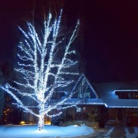 white fairy lights on tree and home in winter - garden decoration stock pictures, royalty-free photos & images