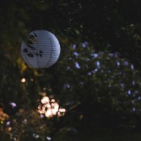 white lampion hanging on tree in garden. - garden decoration stock pictures, royalty-free photos & images