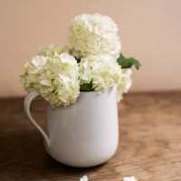 white lilac bouquet laid on wooden table. studio shot. - garden decoration stock pictures, royalty-free photos & images