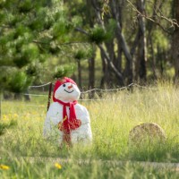 white snowman with a carrot nose, red hat and red scarf in a lush green garden in australia - garden decoration stock pictures, royalty-free photos & images