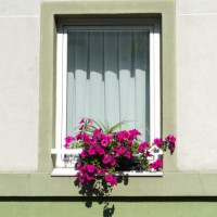 white window with pink petunia flowers pot - garden decoration stock pictures, royalty-free photos & images