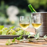 white wine with grapes on a wooden table in the garden. concept of winery and grape products. - garden decoration photos et images de collection