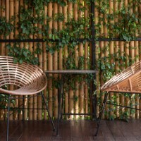 wicker chair against a bamboo wall covered with ivy. - garden decoration stockfoto's en -beelden