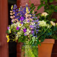 wildflower - garden decoration stock pictures, royalty-free photos & images