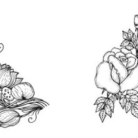 wildflower line art set. flower doodle botanical collection. herbal and meadow plants, grass. vector illustration isolated on white background. chamomile, clover, daisy simple hand drawn elements. - garden decoration stock il