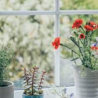 wildflowers in small paper vase - garden decoration stock pictures, royalty-free photos & images