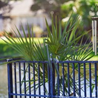 wind chimes next to a metal fence surrounded by lush greenery - garden decoration stock pictures, royalty-free photos & images