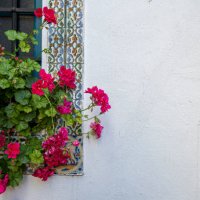 window, facade, door, flowers, colours, unintentional street art - garden decoration stock pictures, royalty-free photos & images