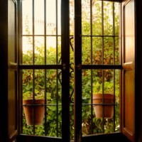 window with plant pots, garden in the background - garden decoration stockfoto's en -beelden